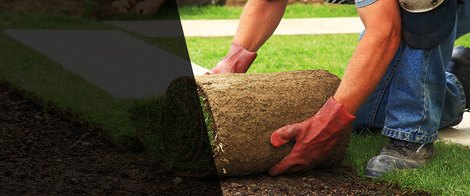 New Albany Landscapers